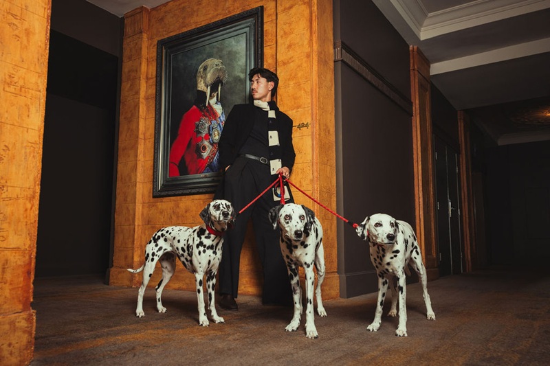 Pup Yeah! package - a luxurious three-night, dog-friendly stay at all QT Hotels