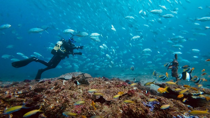 Julie Church, Founder & CEO of SEAS4LIFE