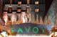 /Media/images/Savoy Entrance at Christmas.jpg />
                </div>
            }
            else
            {
                <div data-p=